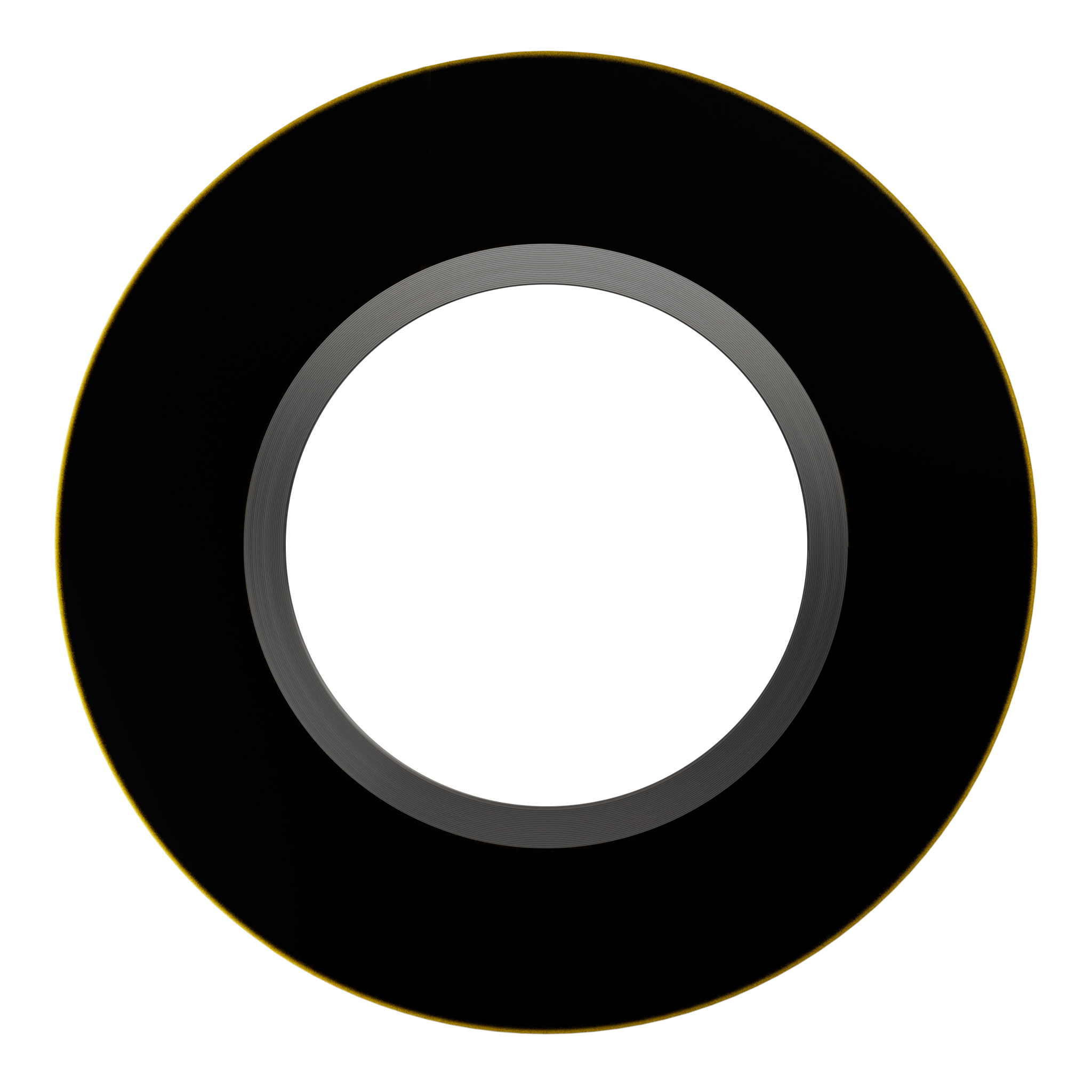 Spiral wound gasket Style DR with outer centering ring and metal winding